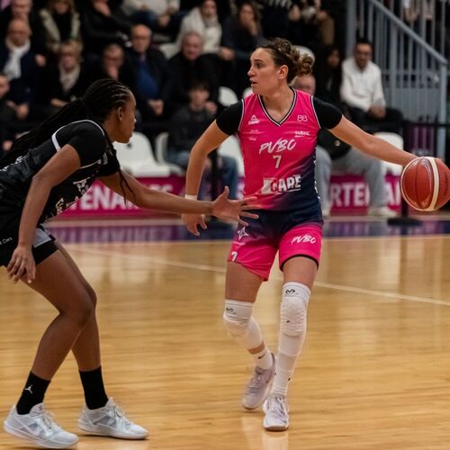 Le clés du match Alençon vs PVBC Le clés du match Alençon vs PVBC