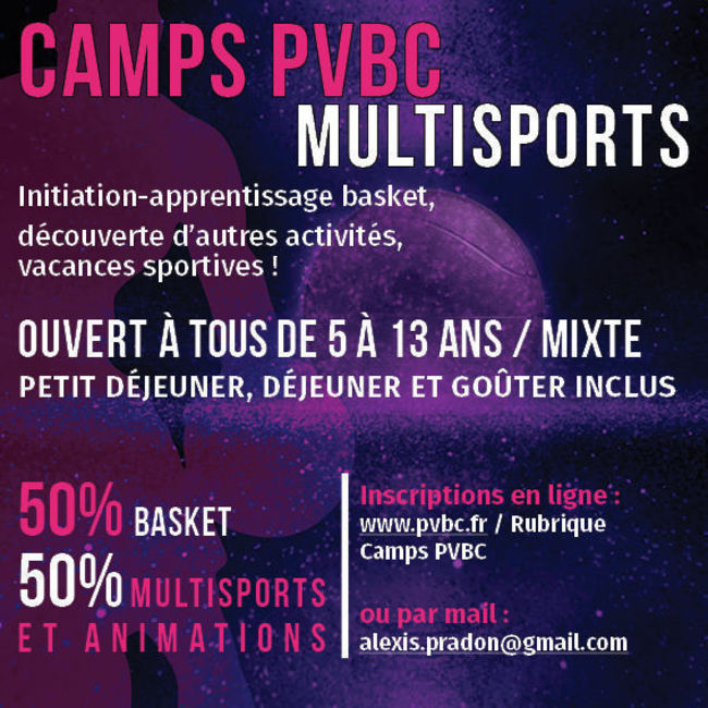 Camp Traditionnel basket et multisports (&agrave; la journ&eacute;e)